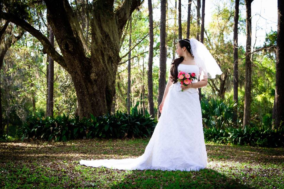 Bridal portrait