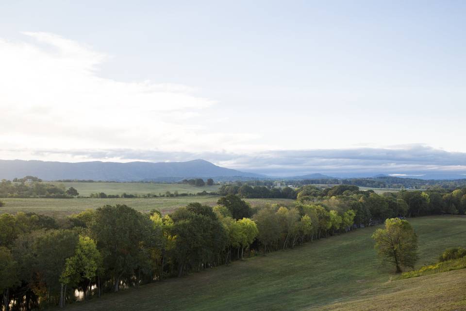 View from the Crest