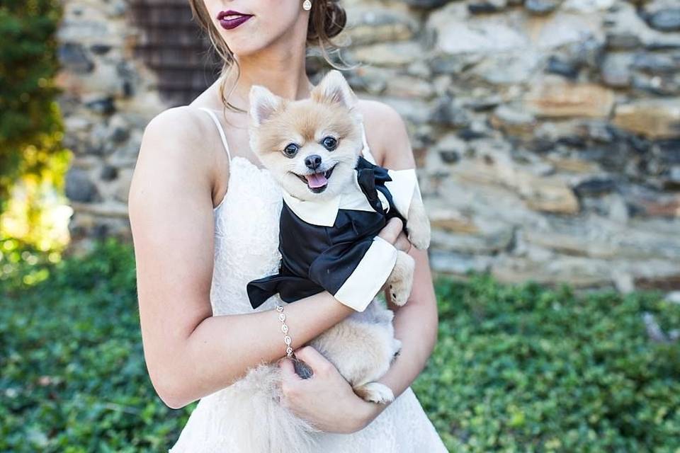 Bride and dog