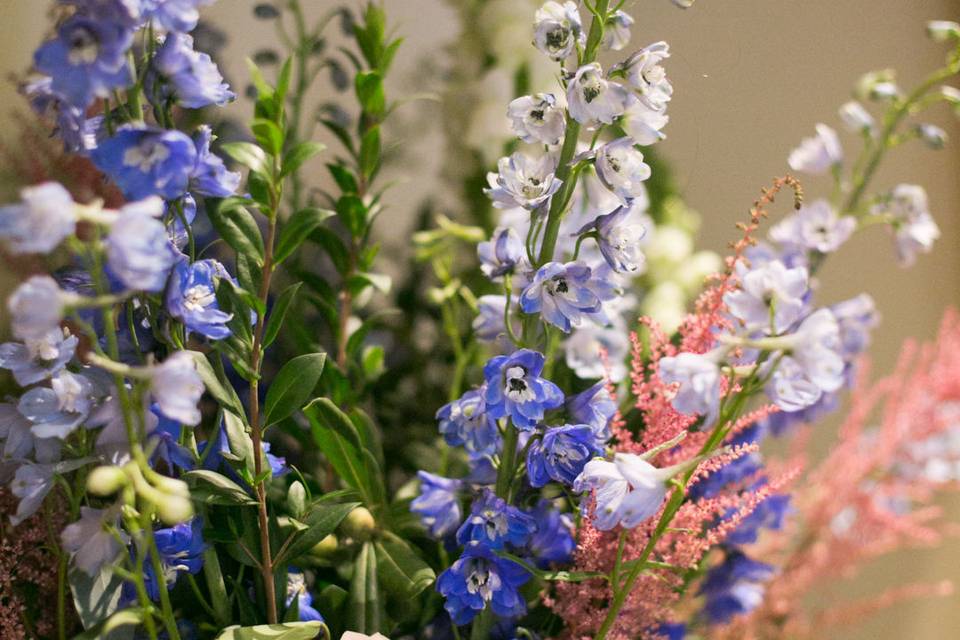 Mixed blues with Delphinum.