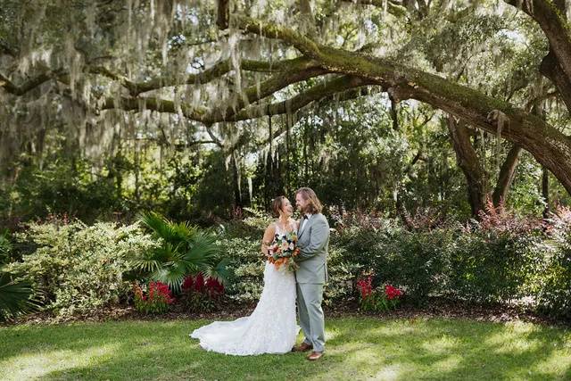 Spanish Moss Live Oaks