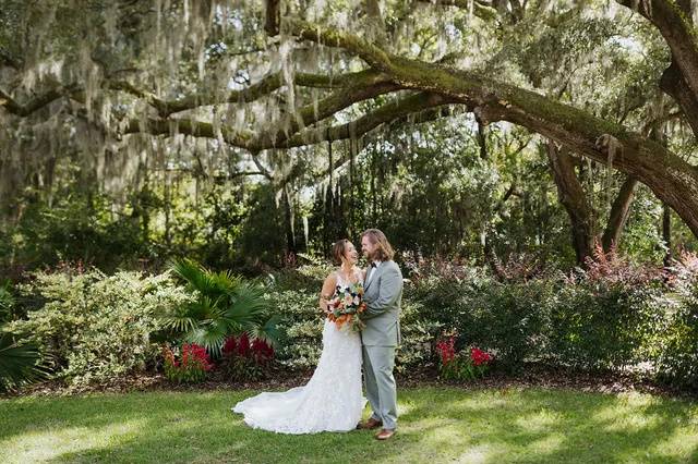 Spanish Moss Live Oaks