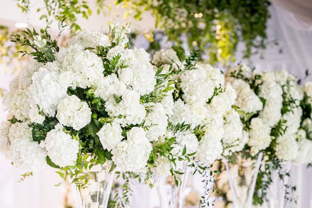 Elegant Wedding Venue