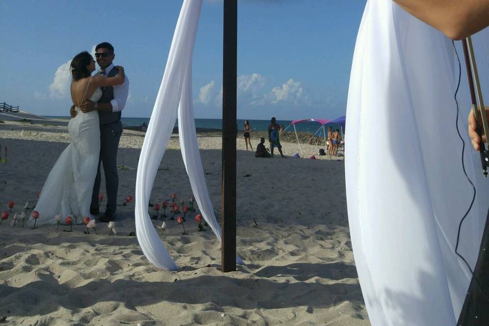 Solo violin beach wedding