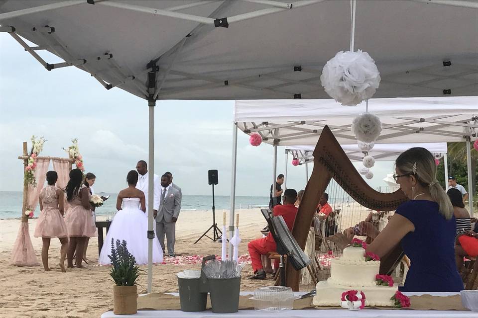 Harp at a beach wedding