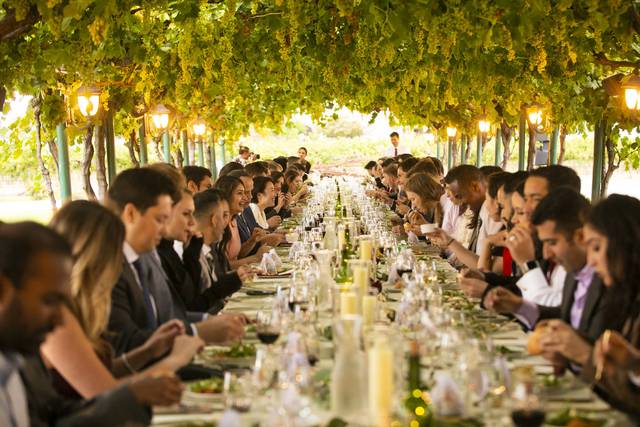 Grape Arbor reception
