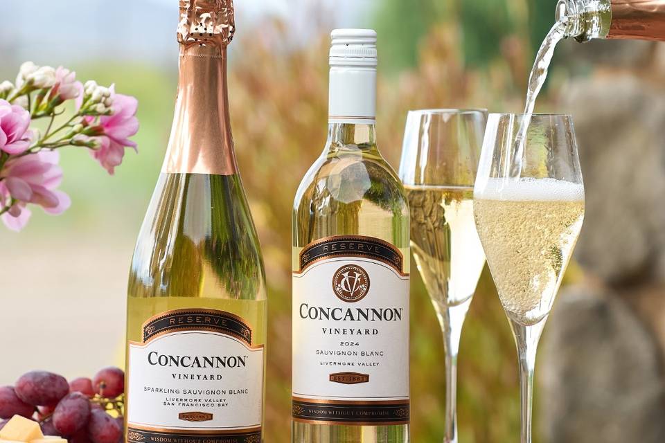 Concannon Vineyard