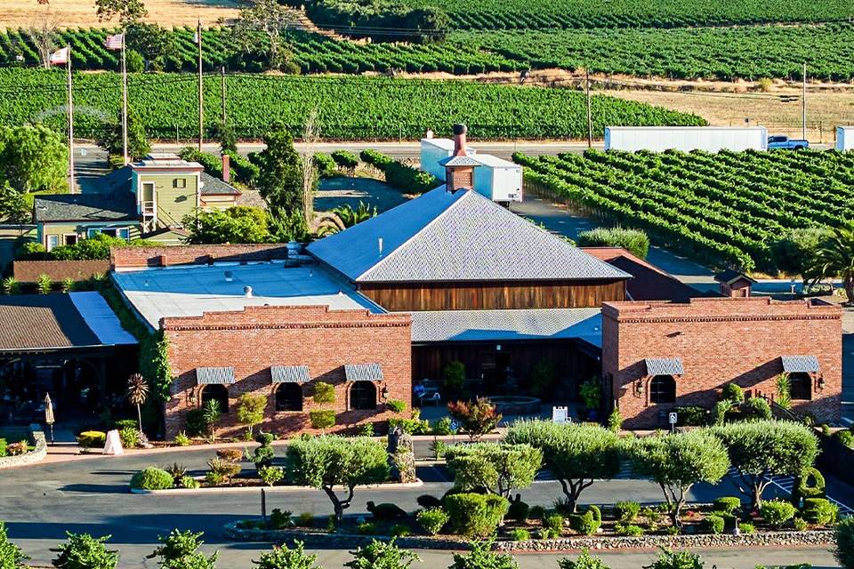 Concannon Vineyard