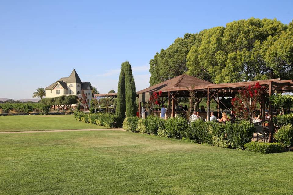 Concannon Vineyard