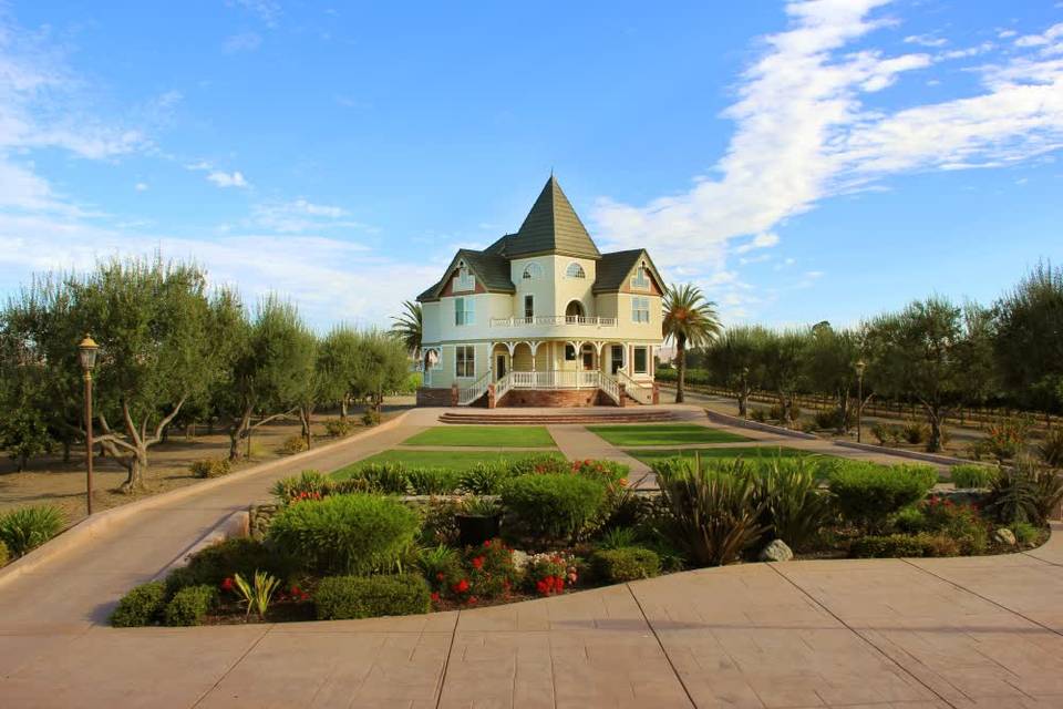 Concannon Vineyard