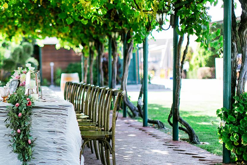 Concannon Vineyard