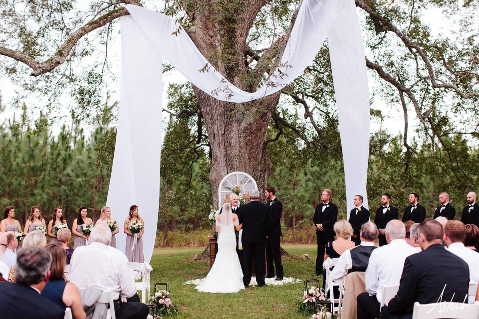 Giant Pecan Tree Ceremonies