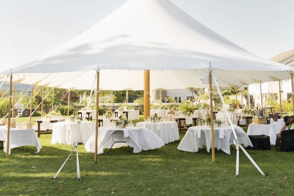 Tent wedding