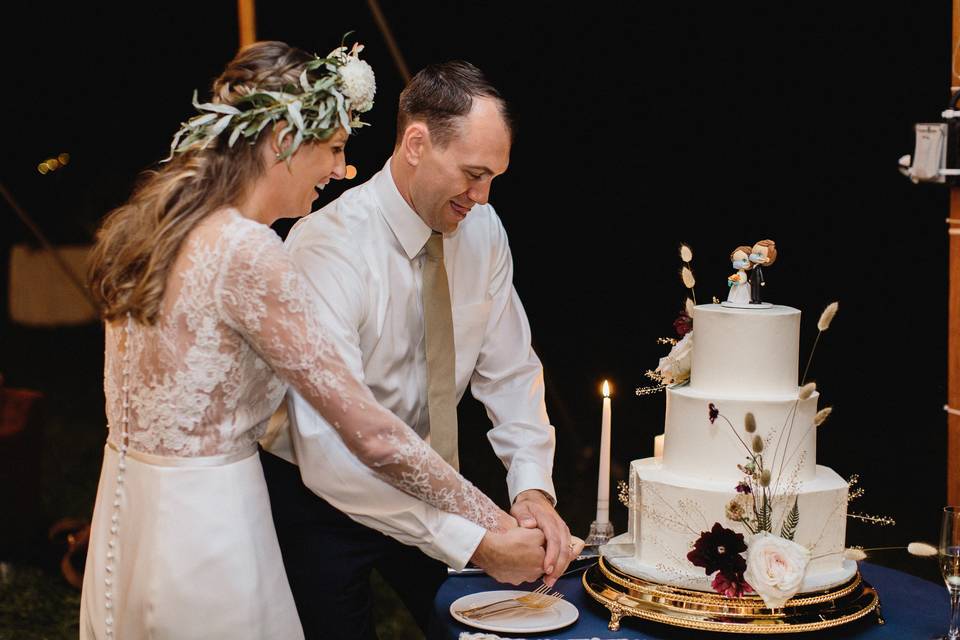 Cake Cutting