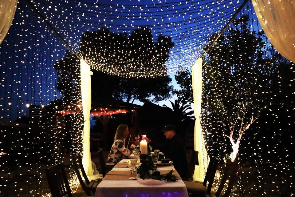 Twinkle Light Canopy