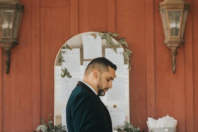 Officiant - last minute read..