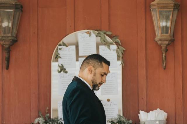 Officiant - last minute read..