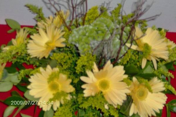 Fresh Yellow Gerber Daisies Centerpiece!!!