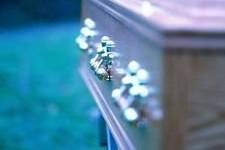 Funerals & Memorials