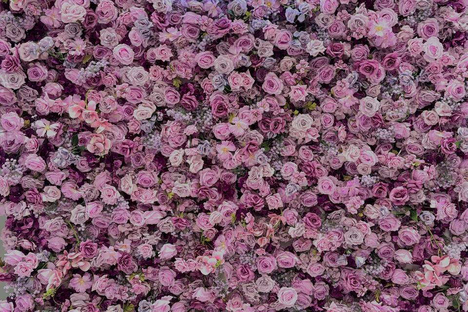Backdrop