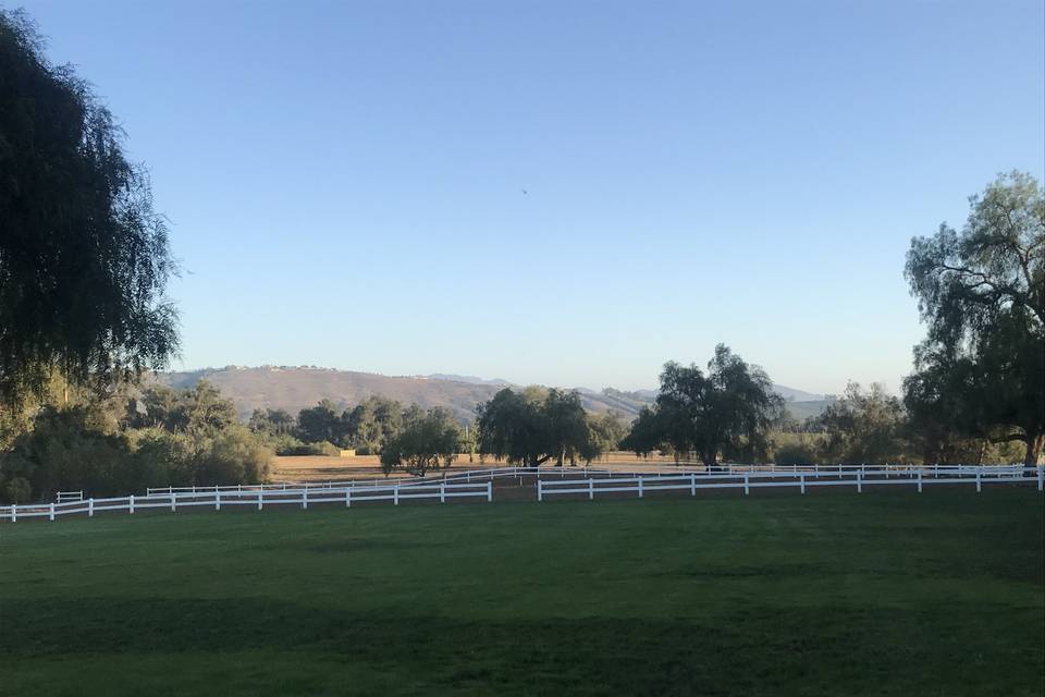 Country Meadow Ranch