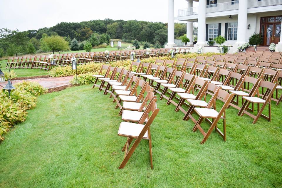 Fruitwood chairs