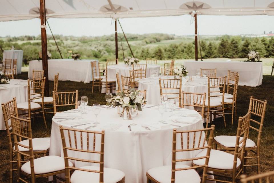 Reception under tent