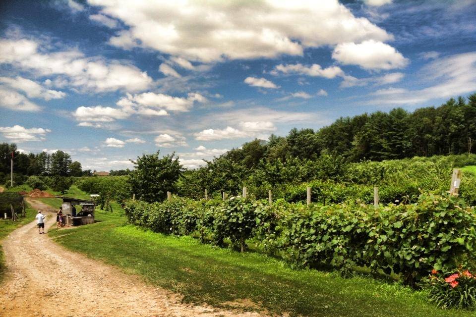 Sunnycrest Farm