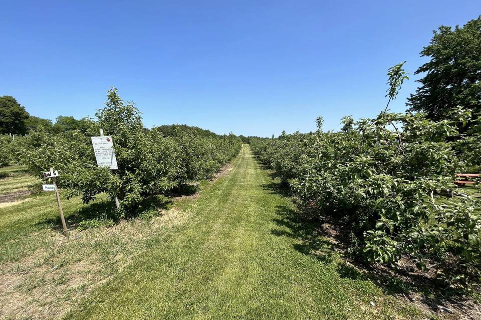 Sunnycrest Farm