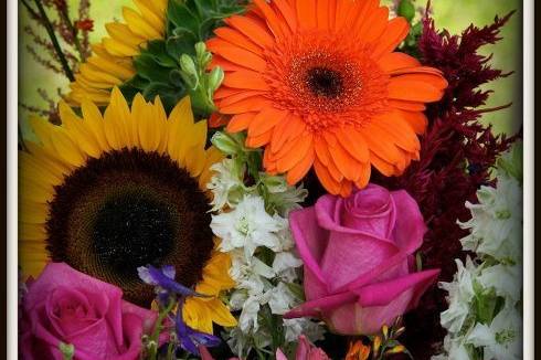 Flowers By Dene'