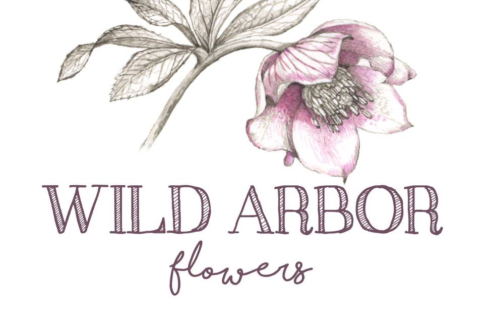 Wild Arbor Flowers