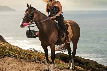 Horse and rider portrait