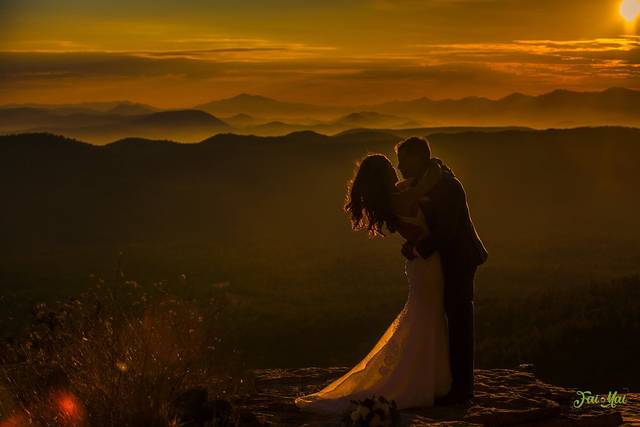 Detail Silhouette