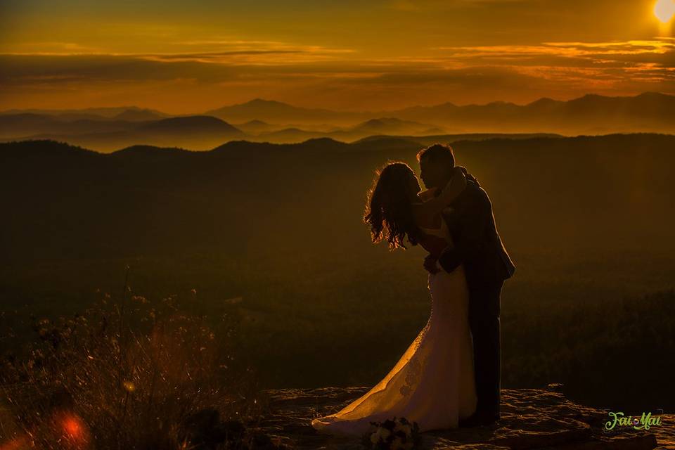 Detail Silhouette