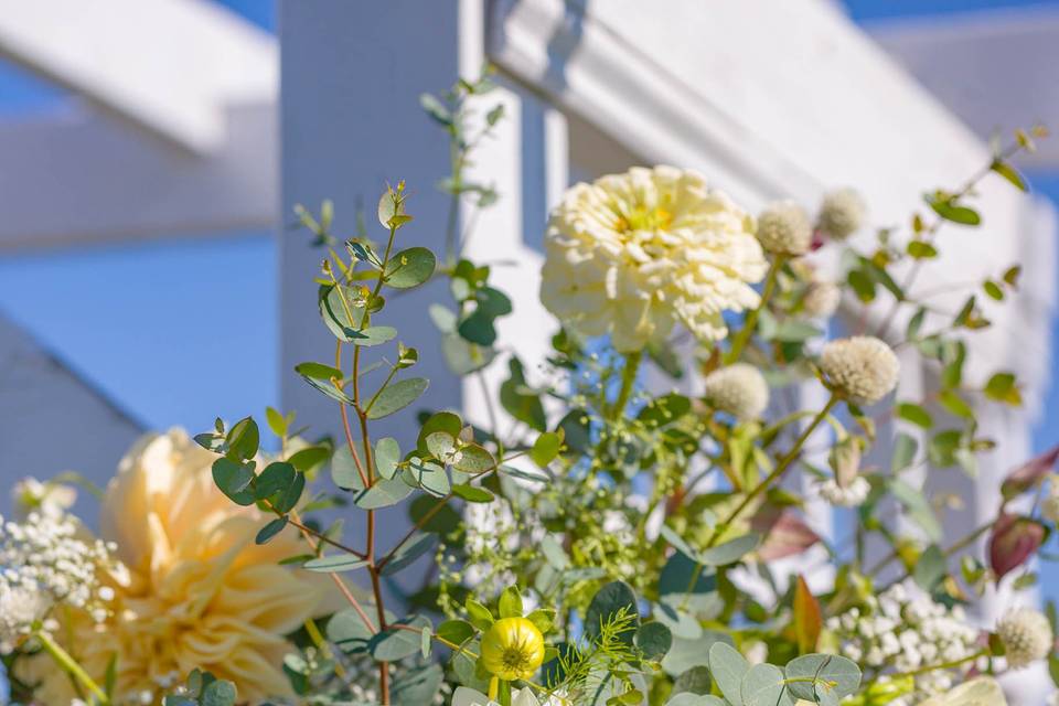 Bouquets with lush blooms