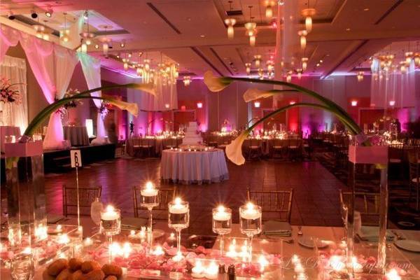 Reception lighting