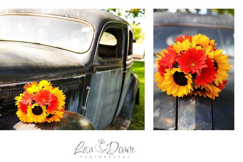 Lisa Doane Photography