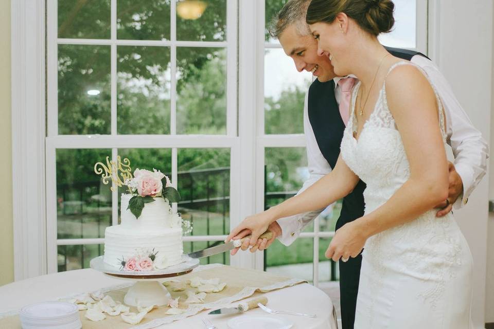 Cake Cutting