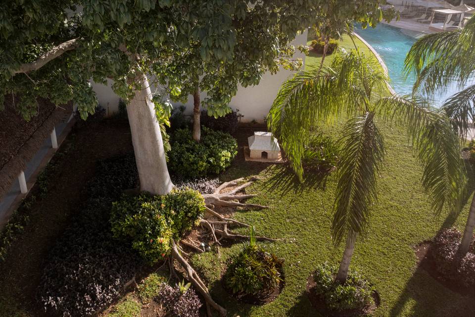 Dreams Puerto Morelos