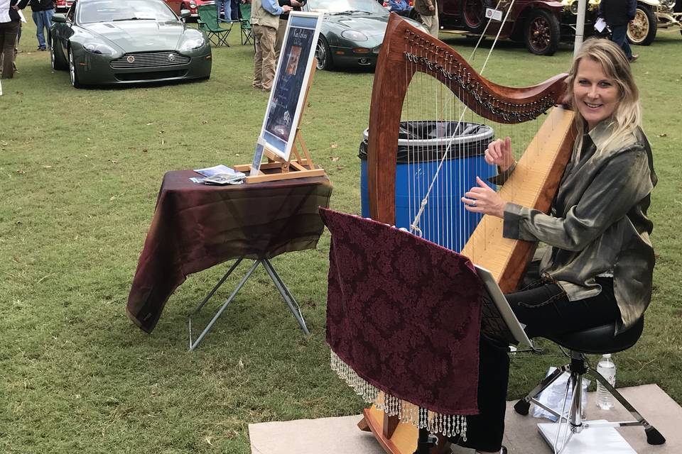 A classic car show