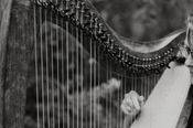 Kim Perkins Charleston Harpist