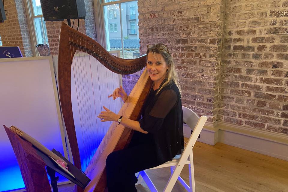 Kim Perkins Charleston Harpist