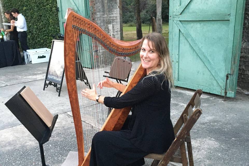 Kim Perkins Charleston Harpist