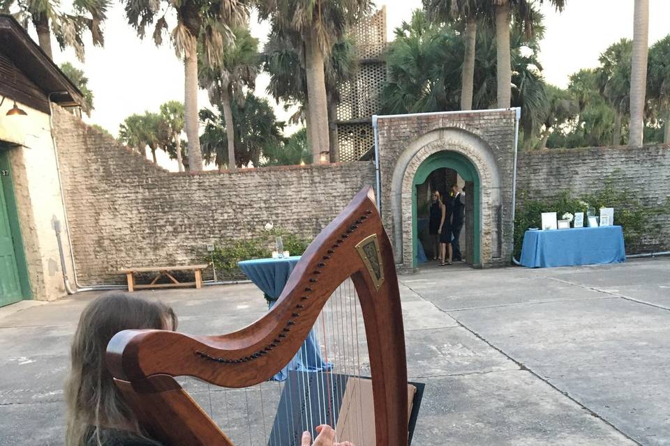 Kim Perkins Charleston Harpist