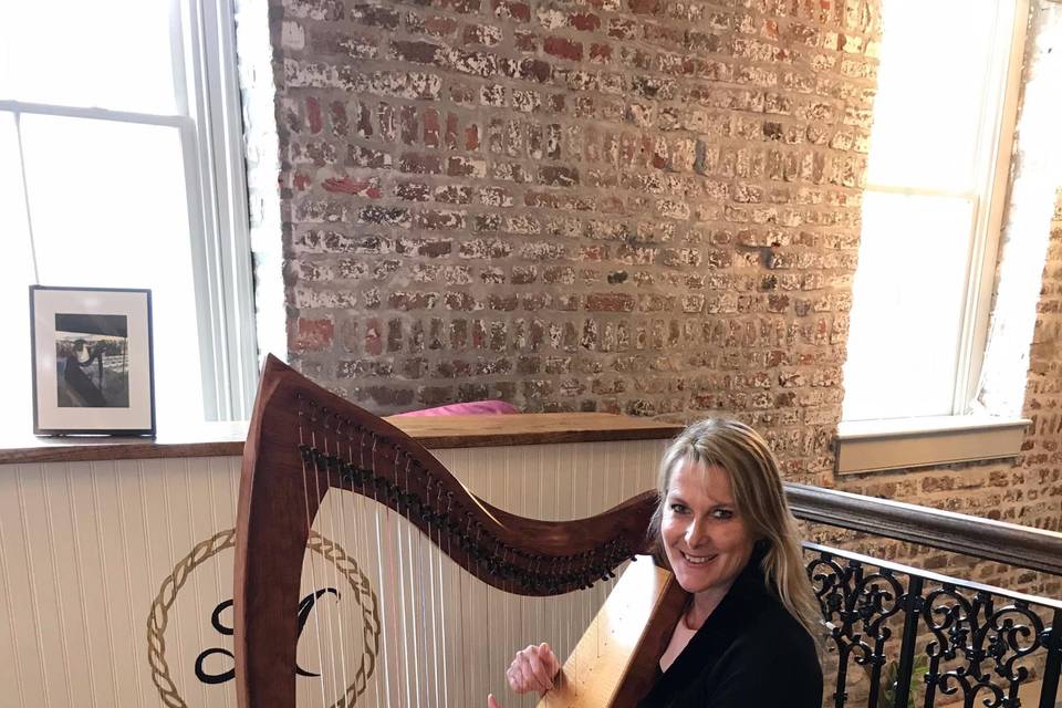 Kim Perkins Charleston Harpist