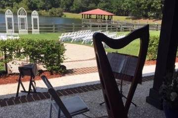 Kim Perkins Charleston Harpist