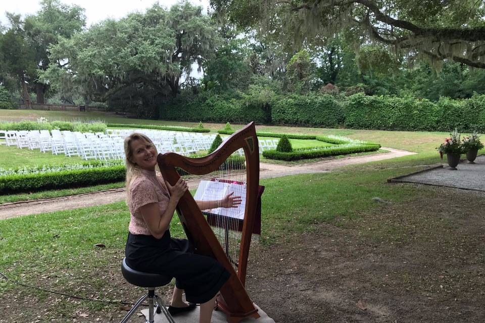 Kim Perkins Charleston Harpist