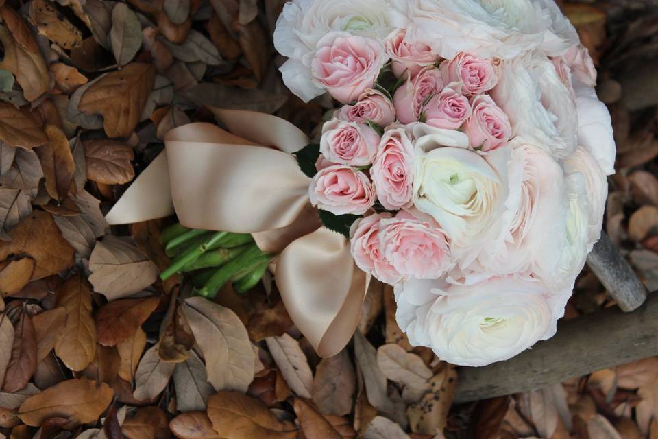 Blush Ranamculu, pale pink spray rose wrapped with taupe satin