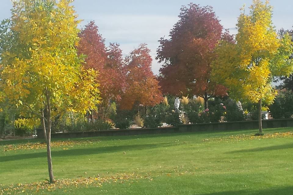 Fall colors in the park area