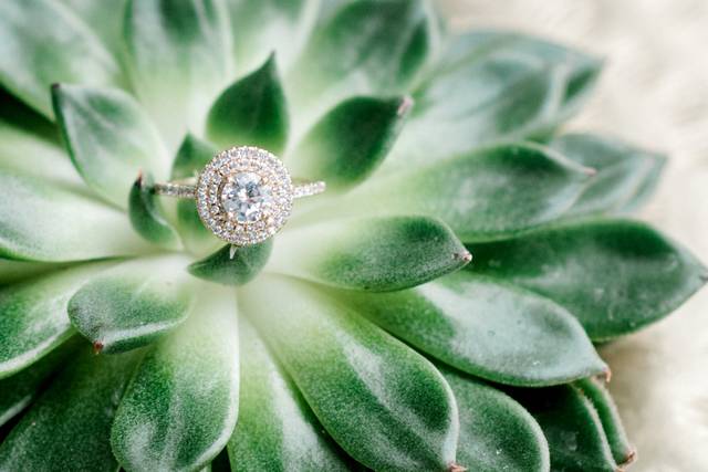 Lindsey Marie Photography
